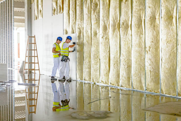 Types of Insulation We Offer in Rolesville, NC